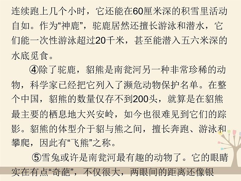 人教版（部编版）初中语文七年级上册 专题八 实用类文本阅读  课件04