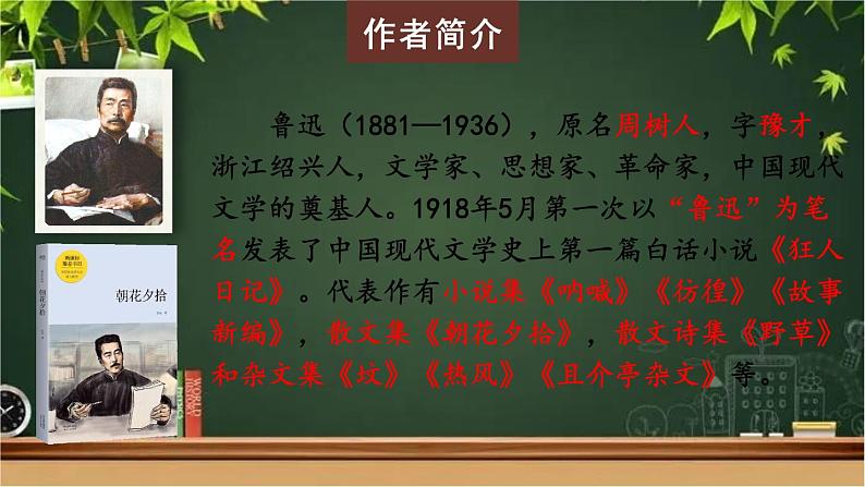 部编版语文七年级上册 9 从百草园到三味书屋 课件04