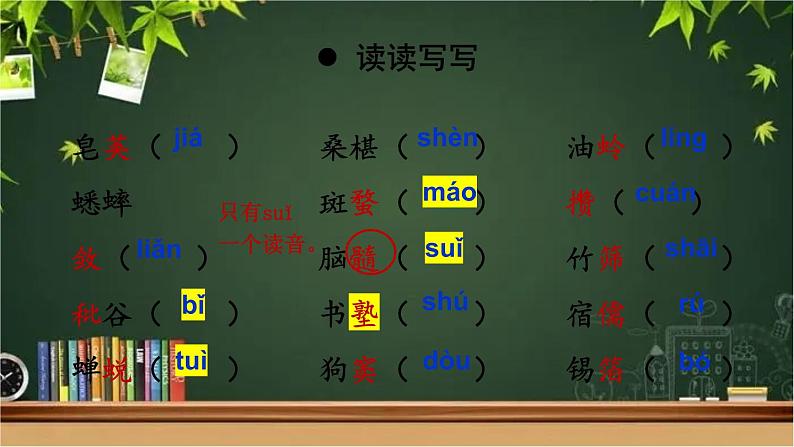 部编版语文七年级上册 9 从百草园到三味书屋 课件07