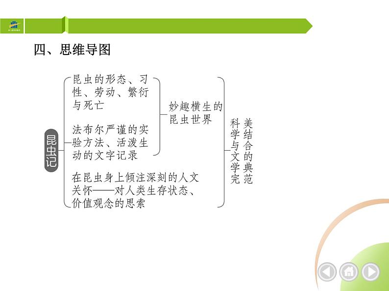 部编语文八年级上册04-名著导读(二)　《昆虫记》课件第4页