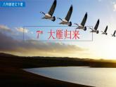 新人教部编版语文八年级下册《大雁归来》课件