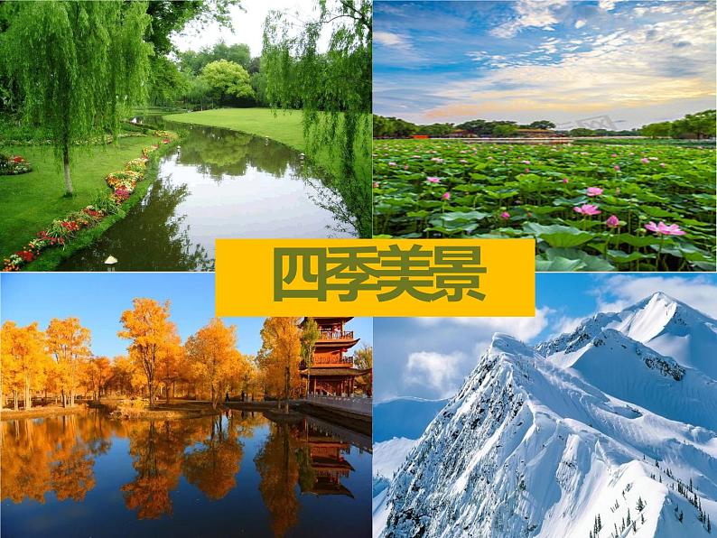 部编版语文《唐诗五首》《钱塘湖春行》PPT课件第1页