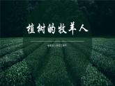 部编版七年级语文上册--13.植树的牧羊人-课件