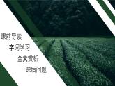 部编版七年级语文上册--13.植树的牧羊人-课件
