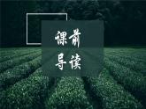 部编版七年级语文上册--13.植树的牧羊人-课件