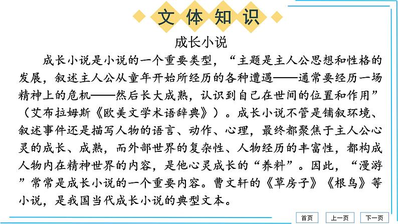 孤独之旅 课件06