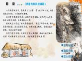 茅屋为秋风所破歌 课件