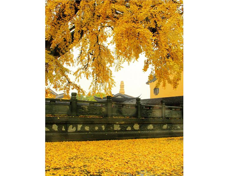 叙事散文写作指导课件第5页