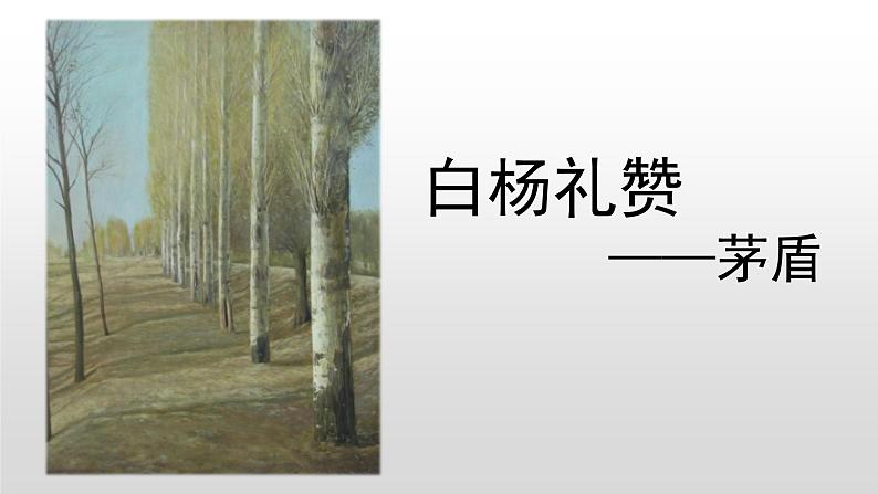 白杨礼赞 课件第3页