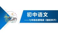 语文人教部编版名著导读《骆驼祥子》：圈点与批注背景图课件ppt