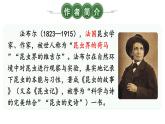 部编版语文八年级上册 21 蝉 精讲课件