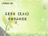 部编版语文八年级上册 名著导读 《昆虫记》 科普作品的阅读 精讲课件