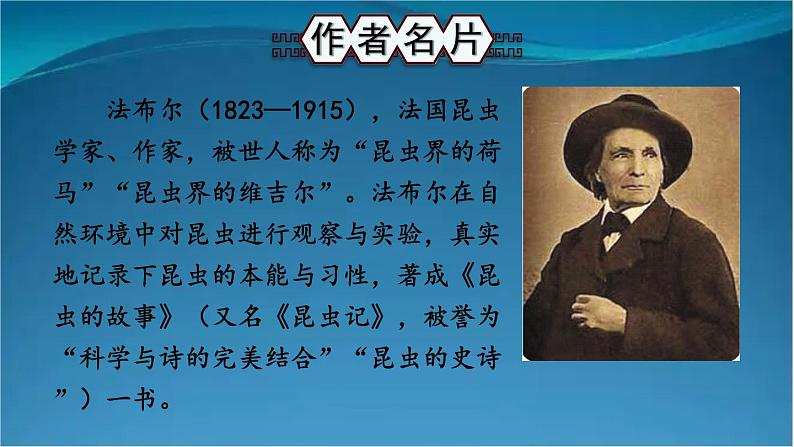 部编版语文八年级上册 名著导读 《昆虫记》 科普作品的阅读 精讲课件03