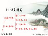 部编版语文八年级上册 11 短文二篇 精讲课件