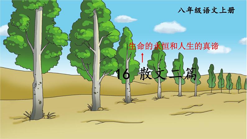 部编版语文八年级上册 16 散文二篇 精讲课件第1页