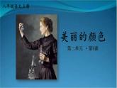 部编版语文八年级上册  9 美丽的颜色 课件