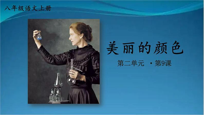 部编版语文八年级上册  9 美丽的颜色 课件02
