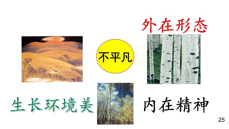 部编版语文八年级上册  15 白杨礼赞【第二课时】 课件第3页