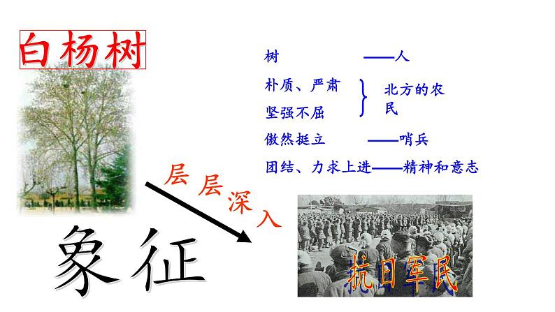 部编版语文八年级上册  15 白杨礼赞【第二课时】 课件第8页