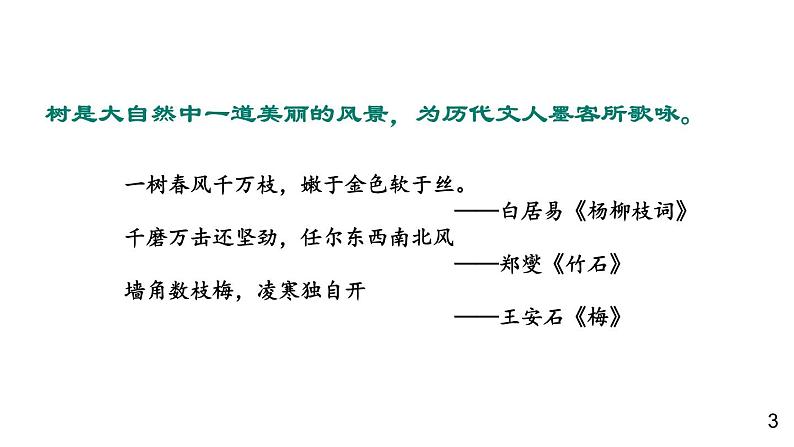 部编版语文八年级上册  15 白杨礼赞【第一课时】 课件第3页