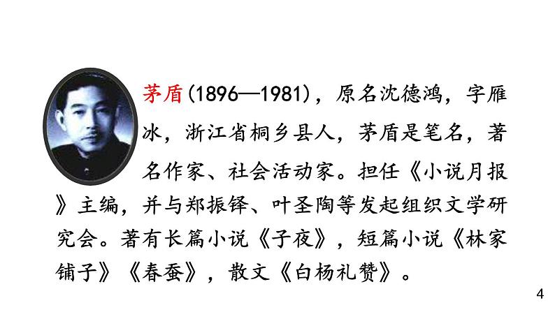 部编版语文八年级上册  15 白杨礼赞【第一课时】 课件第4页