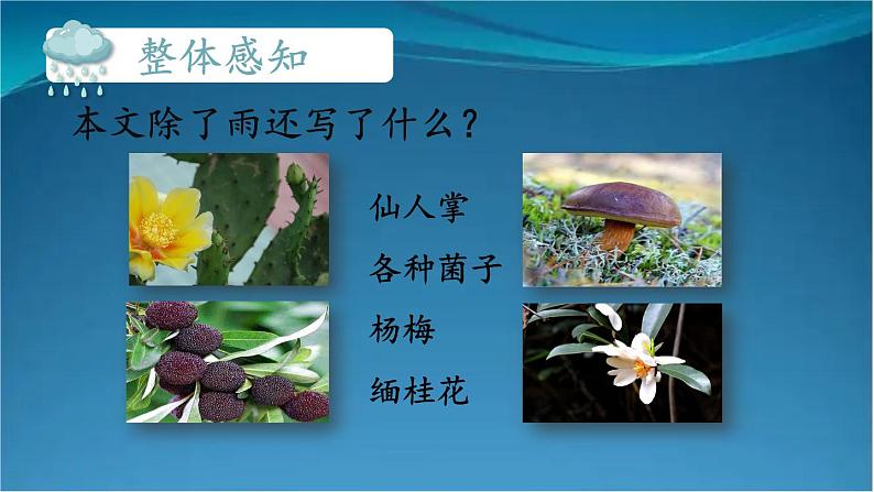 部编版语文八年级上册  17 昆明的雨 课件第6页