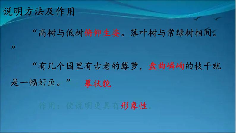 部编版语文八年级上册  19 苏州园林【第二课时】 课件08