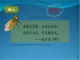部编版语文八年级上册  21 蝉 课件
