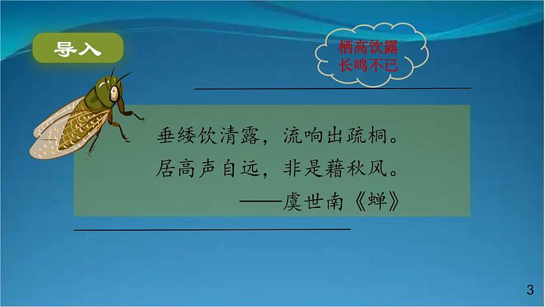部编版语文八年级上册  21 蝉 课件03