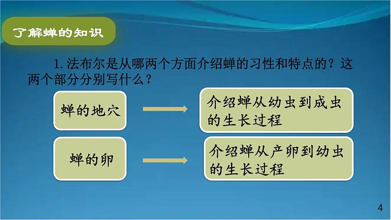 部编版语文八年级上册  21 蝉 课件04