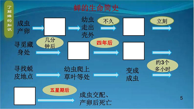 部编版语文八年级上册  21 蝉 课件05