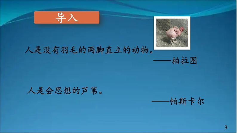 部编版语文八年级上册  第五单元 写作 说明事物要抓住特征【第一课时】 课件第3页