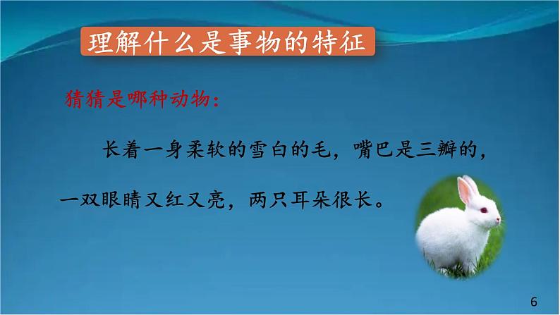 部编版语文八年级上册  第五单元 写作 说明事物要抓住特征【第一课时】 课件第6页