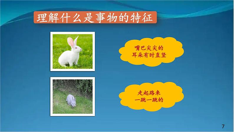 部编版语文八年级上册  第五单元 写作 说明事物要抓住特征【第一课时】 课件第7页