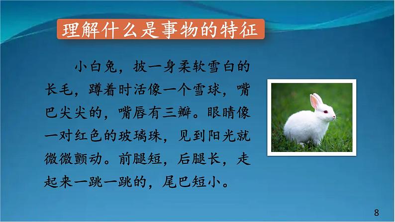 部编版语文八年级上册  第五单元 写作 说明事物要抓住特征【第一课时】 课件第8页