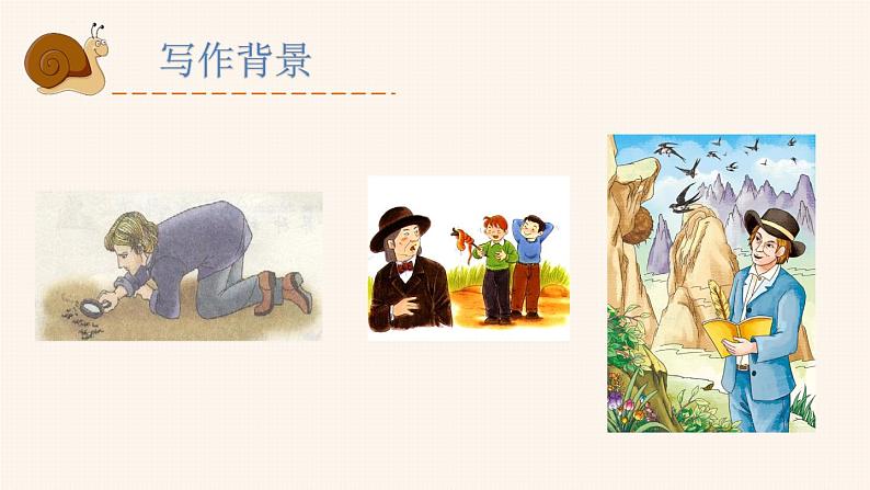 部编版语文八年级上册  第五单元 名著导读 昆虫记 科普作品的阅读【第一课时】 课件第4页