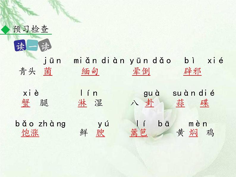 部编版八年级语文上册--17.昆明的雨（精品课件）第5页