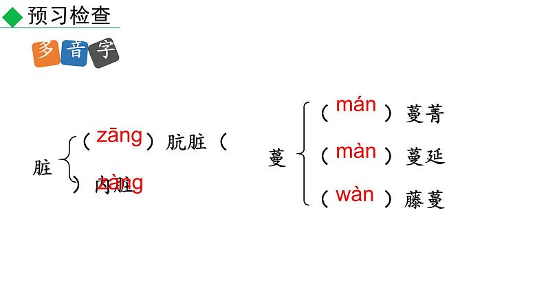 部编版八年级语文上册--16.散文二篇-永久的生命+我为什么而活着（精品课件）05