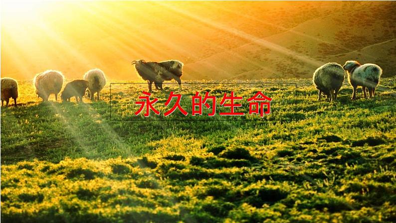 部编版八年级语文上册--16.散文二篇-永久的生命+我为什么而活着（精品课件）第8页