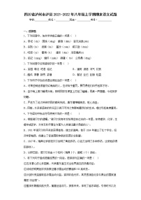 四川省泸州市泸县2021-2022年八年级上学期期末语文试题(含答案)