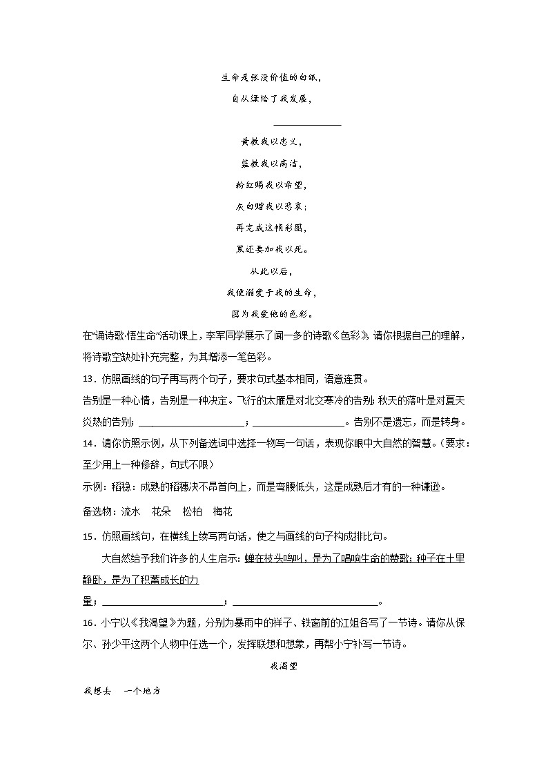 中考语文基础知识一轮复习：仿写、续写、补写第3页