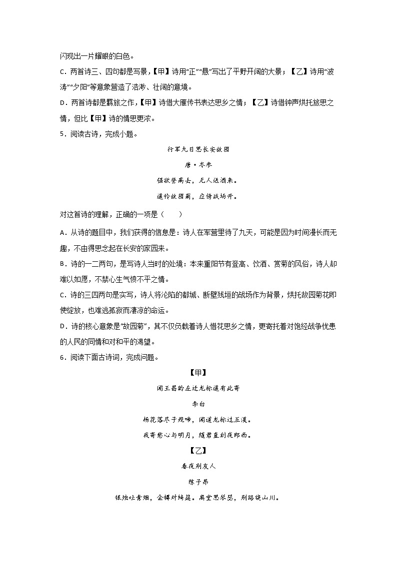 中考语文诗歌鉴赏考点突破：意向与意画第3页