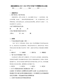 湖南省郴州市2021-2022学年八年级下学期期末语文试题(含答案)