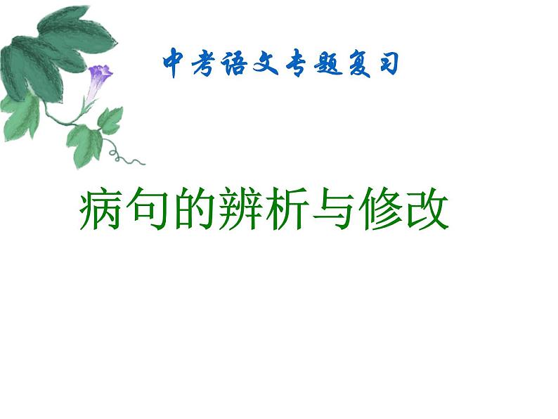 人教部编版语文中考专区  病句的辨析与修改  课件01