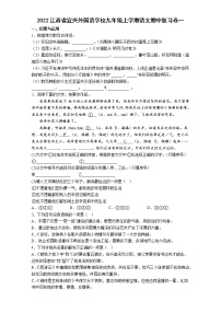 江苏省宜兴外国语学校2022-2023学年九年级上学期期中复习语文试卷(含答案)