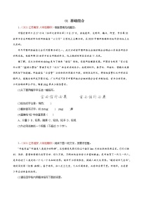 【精品】2022-2023学年八年级语文上学期期中专题复习01 基础综合（含答案解析）