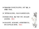 部编版九年级语文上册--22 智取生辰纲（精品课件）
