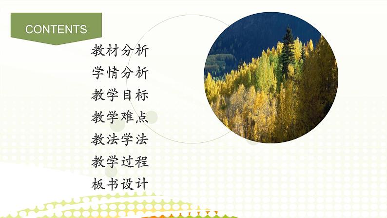 白杨礼赞 说课课件第2页