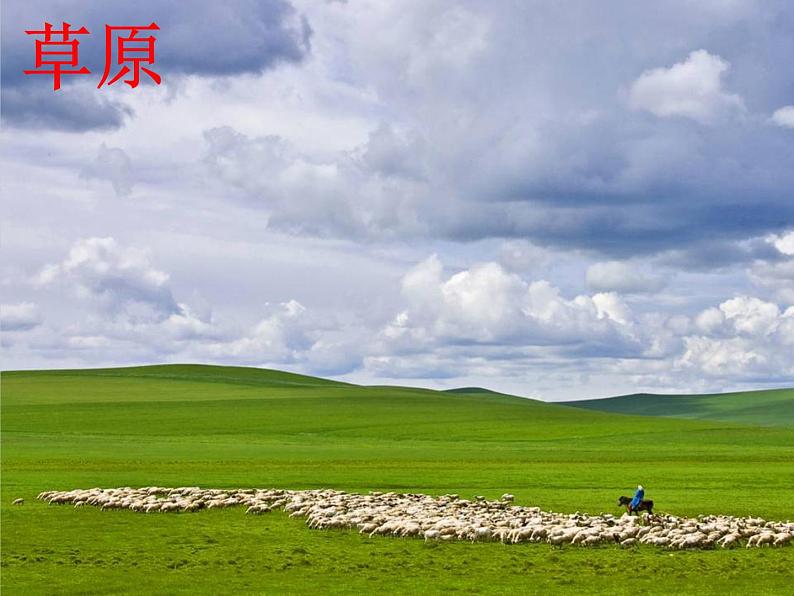 答谢中书书 课件第7页