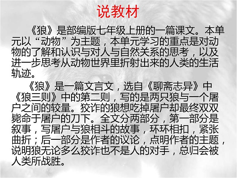 狼 说课课件02